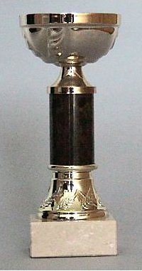 Pohár zlatý 23 cm