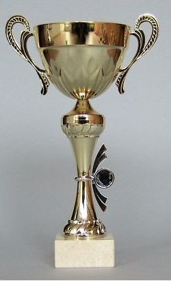 Pohár zlatý s uchy 40 cm