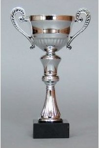 Pohár stříbrný s uchy 36 cm