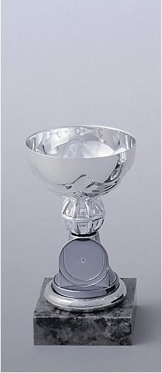 Stříbrný pohár 13 cm s volitelným emblémem