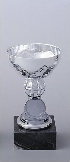 Stříbrný pohár 14 cm s volitelným emblémem