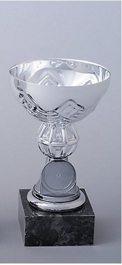 Stříbrný pohár 15 cm s volitelným emblémem
