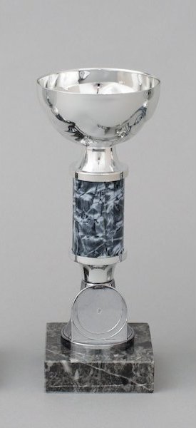 Stříbrno-modrý pohár 16 cm s volitelným emblémem