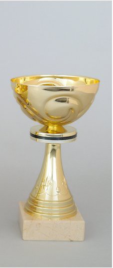 Pohár zlatý 22 cm