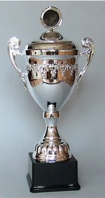 Stříbrný pohár s poklicí 56 cm