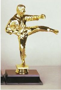 Figurka karatista 25 cm
