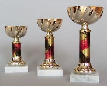 Zlatý pohár 17 cm