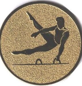 Emblém gymnastika sportovní (kůň)
