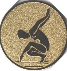 Emblém gymnastika sportovní (kladina)