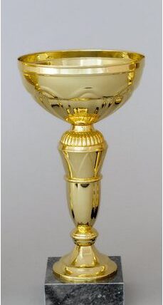 Zlatý sportovní pohár 21 - 28 cm - 24 cm