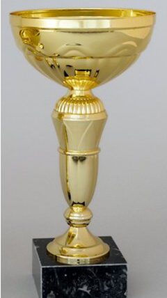 Zlatý sportovní pohár 21 - 28 cm - 28 cm