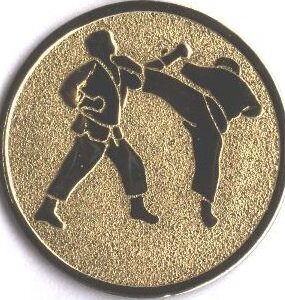 Emblém karate (dvojice - kop)