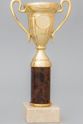 Zlatohnědý sportovní pohár 21 - 25 cm - 25 cm