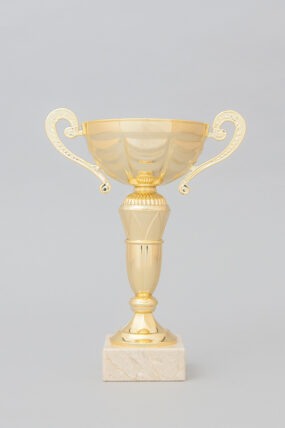 Zlatý sportovní pohár 20 - 29 cm - 26 cm