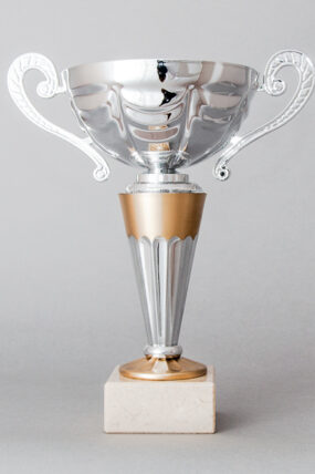 Stříbrno - zlatý sportovní pohár 14 - 23 cm - 23 cm