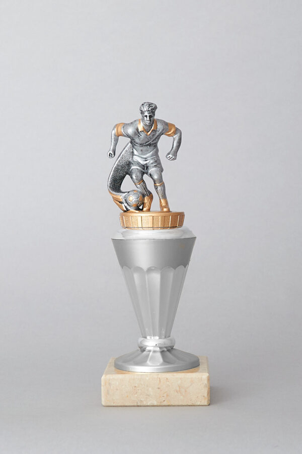 Fotbalová trofej 15 - 22 cm - Image 3