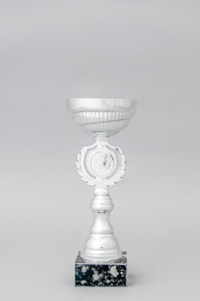 Stříbrný sportovní pohár 23 - 30 cm - 23 cm