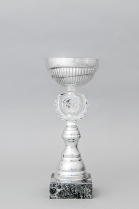 Stříbrný sportovní pohár 23 - 30 cm - 25 cm