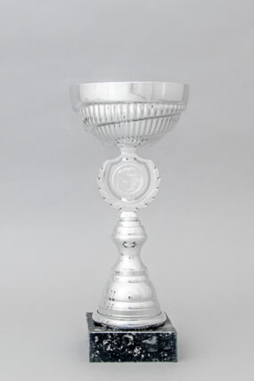 Stříbrný sportovní pohár 23 - 30 cm - 27 cm