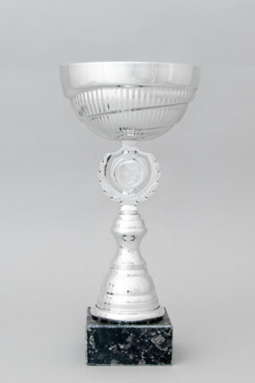 Stříbrný sportovní pohár 23 - 30 cm - 30 cm
