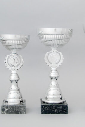 Stříbrný sportovní pohár 23 - 30 cm