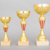 Zlatočervený sportovní pohár 20 - 28 cm