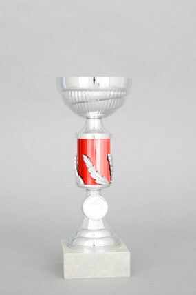 Stříbrnočervený sportovní pohár 23 - 29 cm - 23 cm