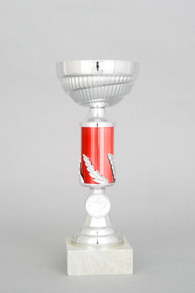 Stříbrnočervený sportovní pohár 23 - 29 cm - 25 cm