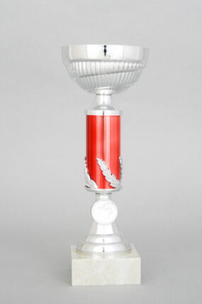 Stříbrnočervený sportovní pohár 23 - 29 cm - 27 cm