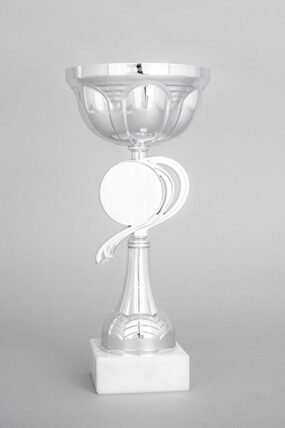 Stříbrný sportovní pohár 23 cm - 29 cm - 26 cm