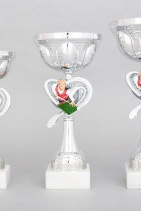 Stříbrný sportovní pohár kulečník 23 cm - 29 cm