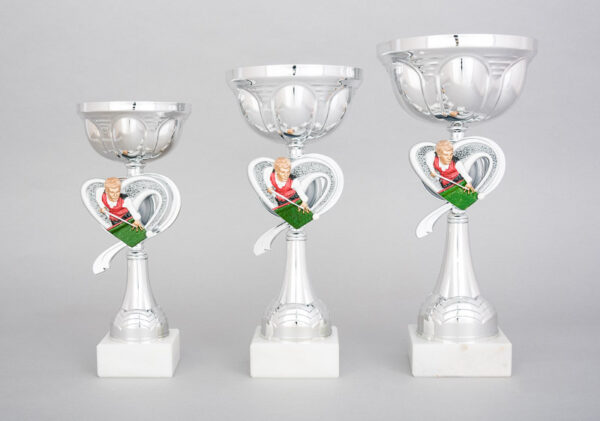 Stříbrný sportovní pohár kulečník 23 cm - 29 cm