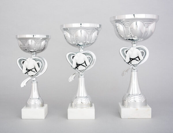 Stříbrný sportovní pohár judo 23 cm - 29 cm