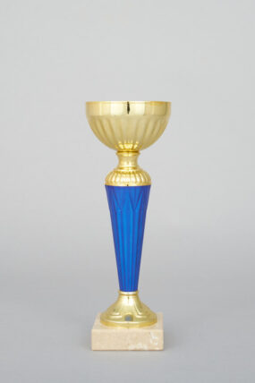 Zlatomodrý sportovní pohár 22 - 28 cm - 22 cm