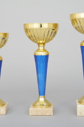 Zlatomodrý sportovní pohár 22 - 28 cm