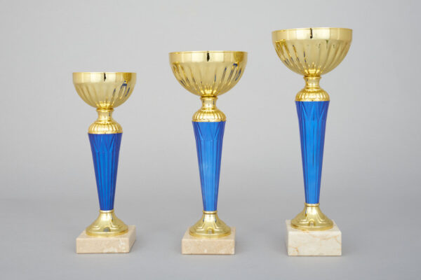 Zlatomodrý sportovní pohár 22 - 28 cm