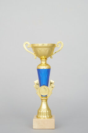 Zlatomodrý sportovní pohár 22 - 28 cm - 26 cm