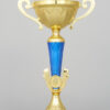 Zlatomodrý sportovní pohár 22 - 28 cm - Image 3