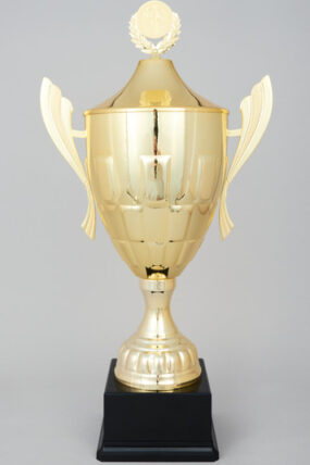 Sportovní trofeje