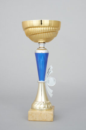 Zlatomodrý sportovní pohár s emblémem 27 cm - 33 cm - 29 cm