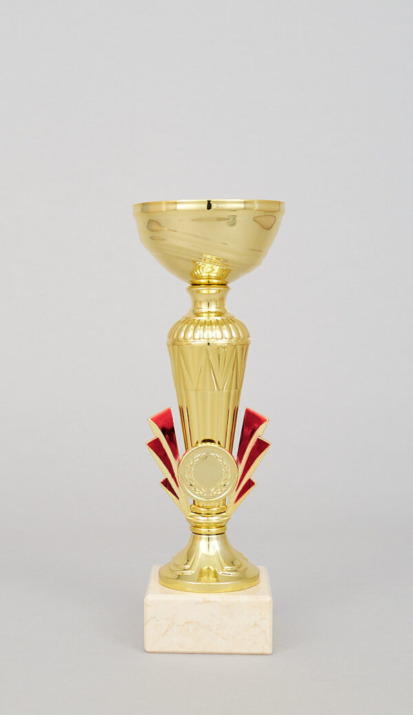 Zlatý sportovní pohár 23 - 29 cm - Image 5