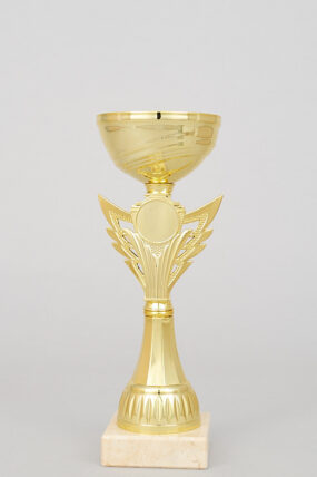 Zlatý sportovní pohár 23 - 27 cm - 21 cm