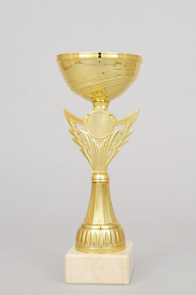 Zlatý sportovní pohár 23 - 27 cm - 23 cm