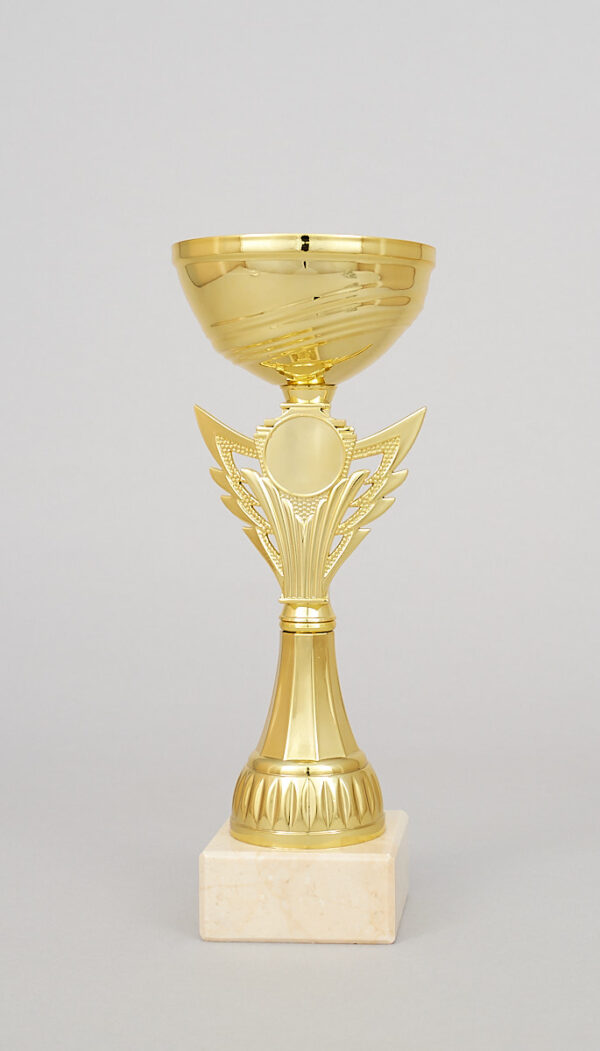 Zlatý sportovní pohár 23 - 27 cm - Image 4