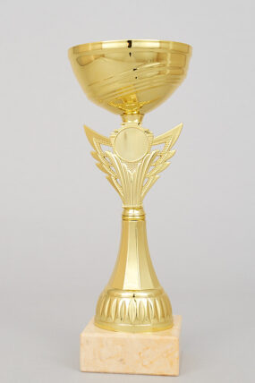 Zlatý sportovní pohár 23 - 27 cm - 25 cm