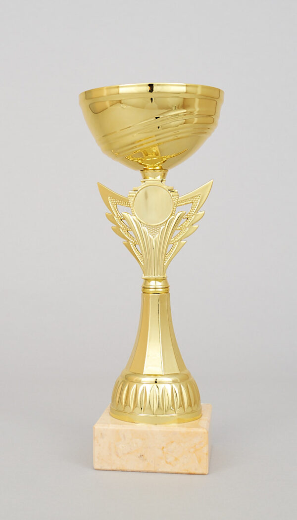 Zlatý sportovní pohár 23 - 27 cm - Image 3