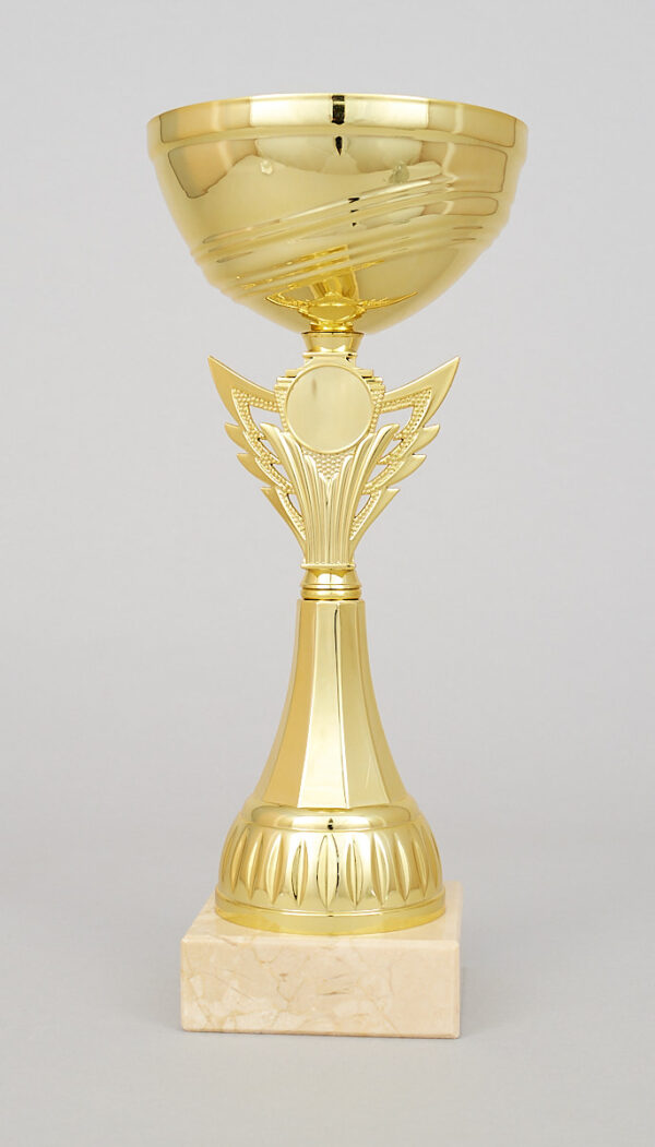 Zlatý sportovní pohár 23 - 27 cm - Image 2