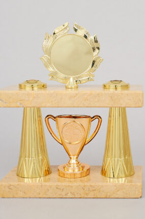Sloupová trofej 21 - 25 cm - 21 cm