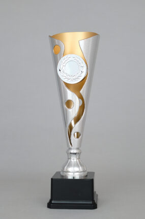 Stříbrno - zlatý sportovní pohár 34 - 39 cm - 34 cm