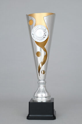 Stříbrno - zlatý sportovní pohár 34 - 39 cm - 36 cm